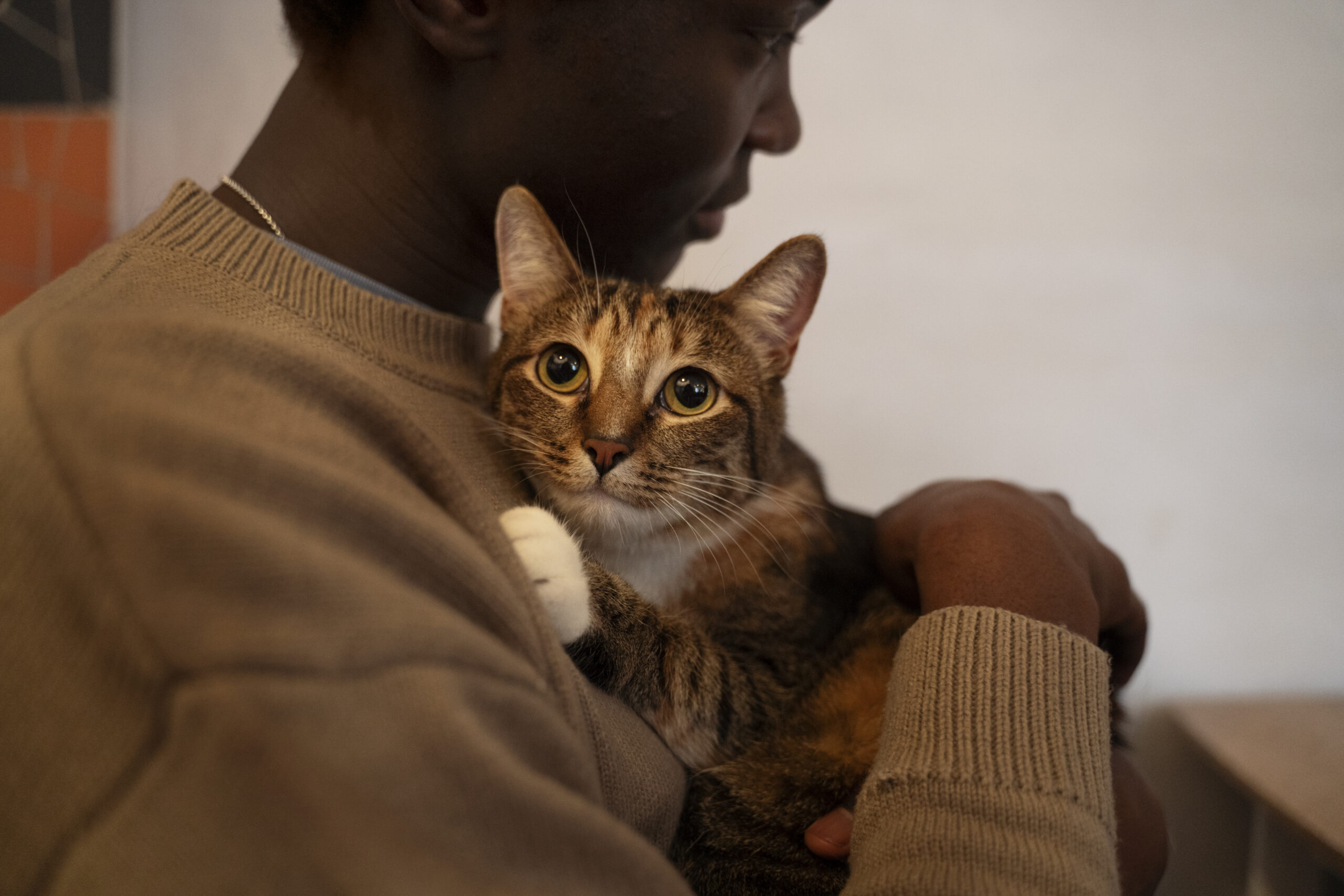 man-with-his-adorable-pet-cat