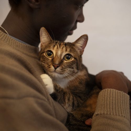 man-with-his-adorable-pet-cat